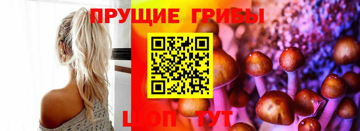 Галлюциногенные грибы GOLDEN TEACHER  Псилоцибиновые грибы мицелий  Вход с VPN  Коммунар 